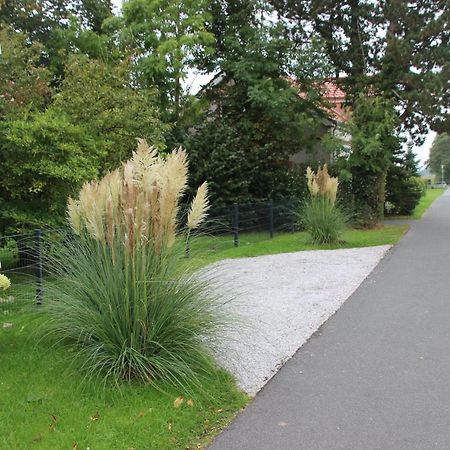 Fewo Nordseeflair Eg - Wiarden Buitenkant foto